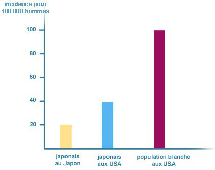 Histogramme rôle alimentation