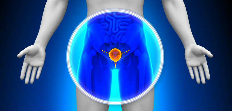 cancer prostate role ejaculation
