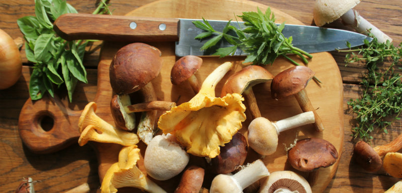 Manger des champignons pour prévenir le cancer de la prostate
